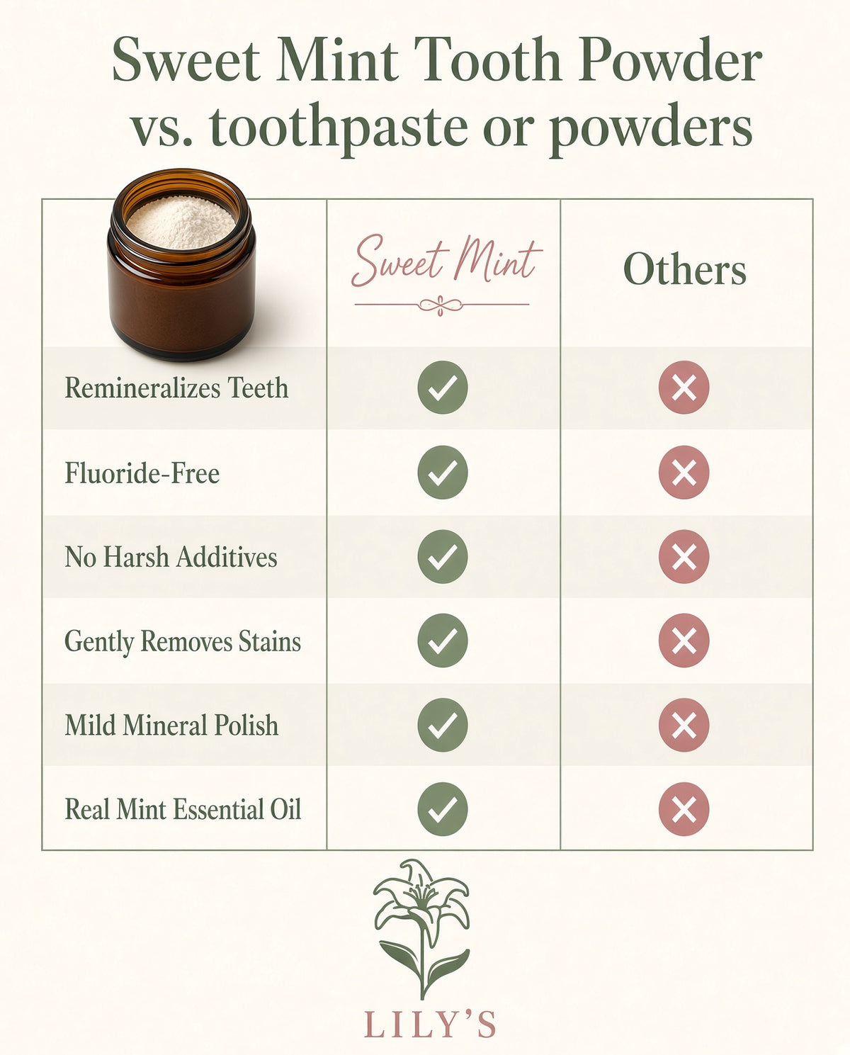 Sweet Mint Mineral Tooth Powder